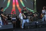 Aksi Para Musisi di Panggung Jakarta Blues Festival 2013