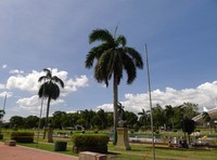 Rizal Park atau Luneta Park berlokasi di Roxas Boulevard, Manila, Filipina. Letaknya persis bersebelahan dengan Intramuros, kawasan kota tua yang dikelilingi benteng peninggalan Spanyol (Sastri/detikTravel)