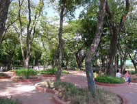 Pepohonan rindang menjadi tempat berkumpulnya muda-mudi dan keluarga yang piknik. Di taman ini juga terdapat area khusus pedagang makanan, dan kafe-kafe kecil tempat turis membeli es kelapa muda khas lokal (Sastri/detikTravel)