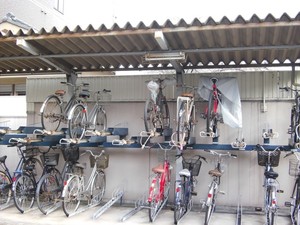 Kring! Kring! Asyiknya Blusukan di Sakai Naik Sepeda