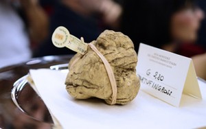 Wah, Walikota New York City Dihadiahi White Truffle Seharga 93 Juta Rupiah!