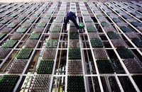 Seorang pekerja membersihkan dinding bangunan di Kuningan, Jakarta Selatan.