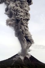 Sinabung Batuk, Abu Hujani Perkebunan