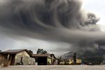 Sinabung Batuk, Abu Hujani Perkebunan