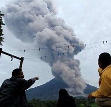 5.624 Ternak Warga Dievakuasi dari Sekitar Gunung Sinabung