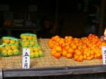 Petik dan Makan Jeruk Sepuasnya di Agrowisata Jepang