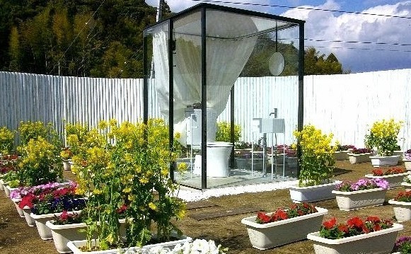 Inilah Toilet Terbesar Sedunia