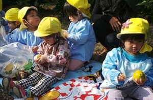 Aih! Lucunya Anak-anak TK di Jepang Memetik Jeruk