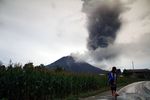 Abu Sinabung Selimuti Desa Brastepu
