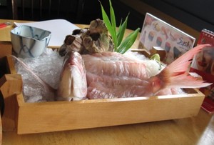 Sperma Ikan Kod dan Ikan Paus, Makanan Unik dari Jepang