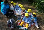 Wajah Imut Anak-anak TK Jepang Belajar Petik Jeruk