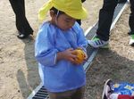 Wajah Imut Anak-anak TK Jepang Belajar Petik Jeruk