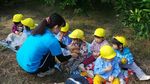 Wajah Imut Anak-anak TK Jepang Belajar Petik Jeruk