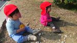 Wajah Imut Anak-anak TK Jepang Belajar Petik Jeruk