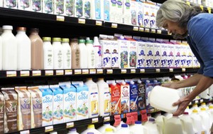 Konsumsi Susu Manis Kemasan Memicu Penyakit Diabetes dan Obesitas
