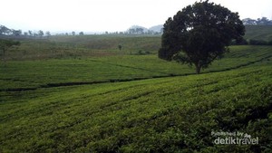 Segarnya Berendam di Sari Ater, Subang