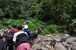 Jalan Kaki 9 Km ke Kampung Adat Wae Rebo, Seru Banget!