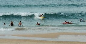 Tragis! Pria Muda Tewas Diserang Hiu di Pantai Australia