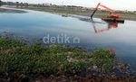 Waduk Pluit Dibersihkan