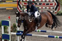 12 atlet pelatnas yang dipersiapkan untuk Sea Games 2013 Myanmar ikut dalam final kejuaraan internasional Gading Open 2013 FEI Wolrd Cup.