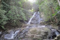Air terjun 9 Tingkat berada di Desa Ula Dabuk, Kecamatan Talang Padang, Kabupaten Empat Lawang, Sumatera Selatan. Air terjunnya berada di dalam hutan yang masih alami dan jauh dari pemukiman penduduk (Afif/detikTravel)