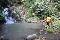 Suasana alami dan penuh suara serangga bakal membuat pendakian Anda ke air terjun 9 Tingkat semakin menjadi asyik. Harap berhati-hati, karena tiap kolam alami di tiap tingkatan air terjunnya punya kedalaman hingga 2 meter (Afif/detikTravel)