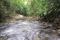 Baiknya, Anda menyiapkan bekal makanan dan minuman saat datang ke air terjun 9 Tingkat. Sebab, tak ada rumah makan apalagi warung yang bisa ditemukan sepanjang perjalanan (Afif/detikTravel)