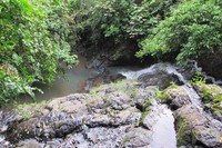 Saat berada di atas air terjunnya, cobalah menengok ke bawah. Anda bakal melihat air kolam alami, pepohonan rimbun, dan derasnya air terjun yang mengalir dari ataa (Afif/detikTravel)