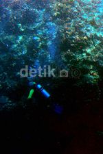 Menikmati Keindahan Bunaken