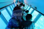 Menikmati Keindahan Bunaken