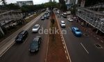 Demi MRT, 1.260 Pohon Ditebang