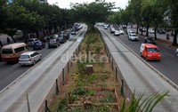 Diperkirakan sebanyak 1.260 pohon akan ditebang.