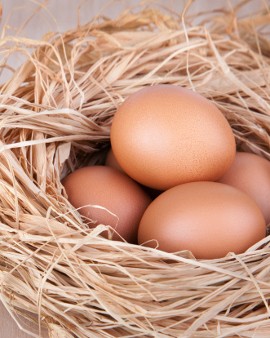 Benarkah Telur Berkolesterol Tinggi dan Penyebab Penyakit Jantung?