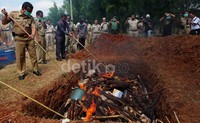 Pemusnahan dilakukan dengan cara dibakar.