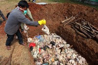 Kegiatan ini merupakan bagian dari penegakan Peraturan Daerah dalam Bidang Peternakan No. 5 Tahun 1992 tentang Penampungan dan Pemotongan Unggas serta Peredaran Daging Unggas di Wilayah DKI Jakarta dan Peraturan Daerah Nomor 8 Tahun 1989 tentang Pengawasan dan Pemotongan Ternak, Perdagangan Ternak dan Daging di Wilayah DKI Jakarta, Dinas Kelautan dan Pertanian Provinsi DKI Jakarta telah melaksanakan Kegiatan Pengawasan dan Pengendalian Mutu Pangan Produk Hewan.