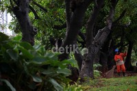 Insentif fiskal berupa uang, dana bergulir, atau keringanan pajak daerah dan pengurangan retribusi.