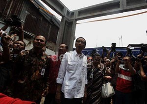 Kanguru Ragunan Mati Diserang Anjing Liar, Jokowi: Itu Urusan Pengelola!
