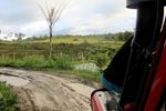 Kebut-kebutan Naik Jeep di Toba Samosir, Seru!