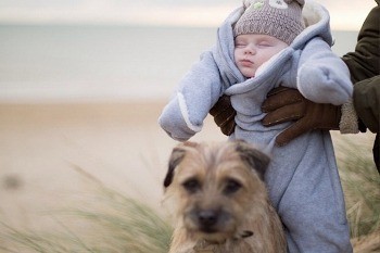 So Sweet! Anjing Ini Selalu Meninabobokan Bayi 2 Bulan Sebelum Tidur