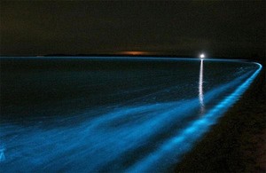 Laut Bercahaya & Aneka Keajaiban Lain dari Lautan