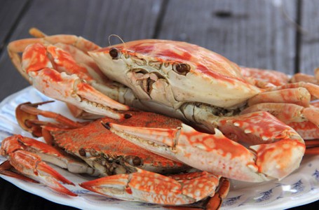 Kurangi Konsumsi 10 Makanan Berkolesterol Tinggi Ini! (2)