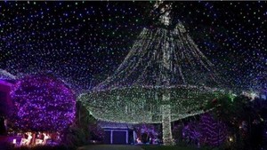 Pasang 502.165 Lampu Natal di Rumah, Keluarga Ini Pecahkan Rekor Dunia