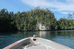 Teluk Kabui Raja Ampat, Bagai Surga Terperangkap di Bumi