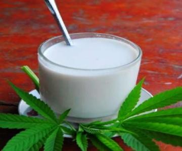 Alergi Susu Sapi? Cobalah Susu Almond dan Susu Biji Bunga Matahari yang Bernutrisi (2)