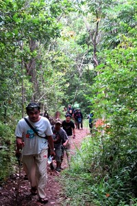 Setelah melewati sungai, jalan menjadi lebih kecil dan semakin menanjak. Namun sisi baiknya adalah lebih rindang karena dilindungi pepohonan (Shafa/detikTravel)