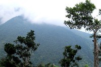 Seperti ini pemandangan yang tersaji saat sedang istirahat di pos dua. Duduk sambil menenggak air minum dan memandangi panorama seperti ini, lelah seakan terhapus sudah (Shafa/detikTravel)