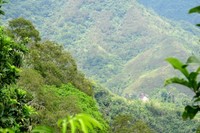 Rumah bulat menyembul kecil di balik pepohonan terlihat dari pos 3 (Pos Nampe Bakok). Inilah yang membuat para pendaki kembali semangat. Pertanda perjalanan sudah tinggal sedikit lagi dan tujuan semakin dekat (Shafa/detikTravel)