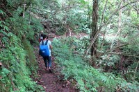 Setelah pos 3, jalan menjadi lebih menurun dan lebih mudah. Namun tetap saja harus berhati-hati terutama jika setelah hujan karena jalan jadi lebih licin (Shafa/detikTravel)
