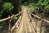 Jembatan bambu yang baru. Sekarang sudah ada jembatan untuk menyeberang sungai untuk memudahkan para traveler. Sebelumnya, para pendaki harus menyeberangi sungai untuk sampai ke sana. Terlebih saat musim hujan, medan jadi jauh lebih sulit (Shafa/detikTravel)