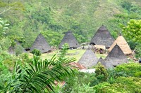 Akhirnya sampai! Ketika Anda sudah melihat pemandangan seperti ini, berarti tinggal beberapa langkah lagi untuk sampai ke kampung. Selamat datang di Wae Rebo! (Shafa/detikTravel)